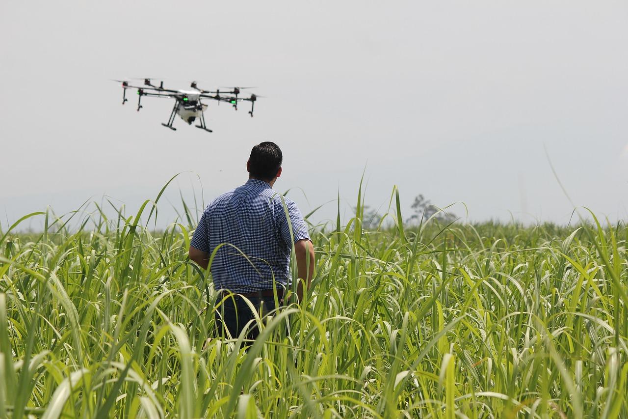 Drones ampliam eficiência no campo e transformam a agricultura brasileira