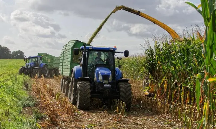 Estudo indica bioinsumo como solução sustentável na produção alimentar